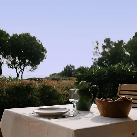 Les Hauts De Santa Giulia Feriehus *